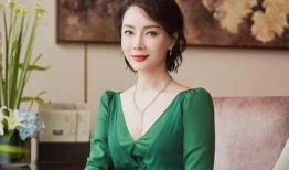 陈数电视剧大全集,演绎经典，诠释人生百态