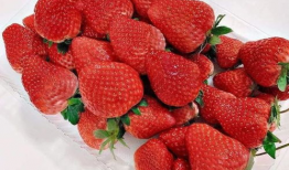 小草莓吃瓜爆料是真的吗,真相揭秘，是真是假？