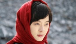 孙俪主演电视剧,甄嬛传孙俪演绎宫廷传奇